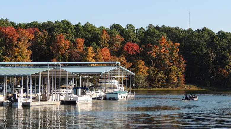 Marina at Kentucky Lake at Paris Landing State Park