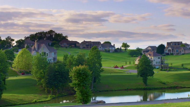Rarity Bay homes surrounded by landscaped greenery, paved roads, and pond.