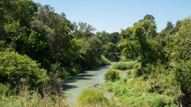The river in Palmetto State Park, Texas