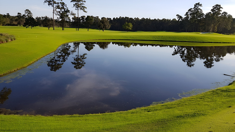 The landscape at the Golf Club of Houston