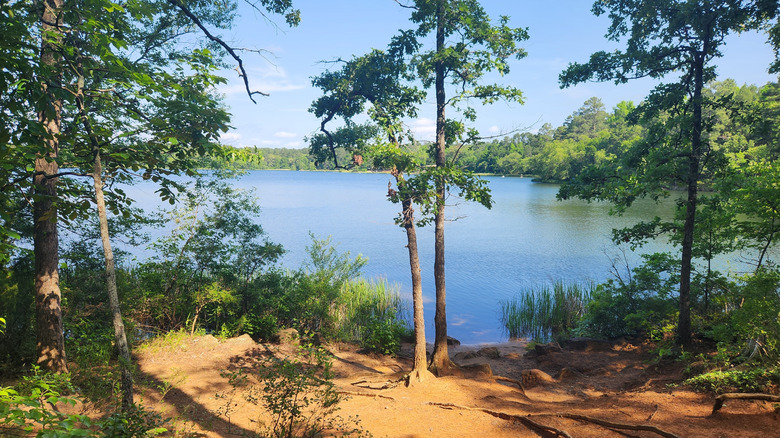 A view of the lake in Tyler State Park