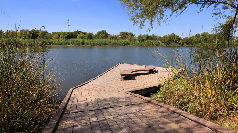 Hutto Lake Park fishing dock
