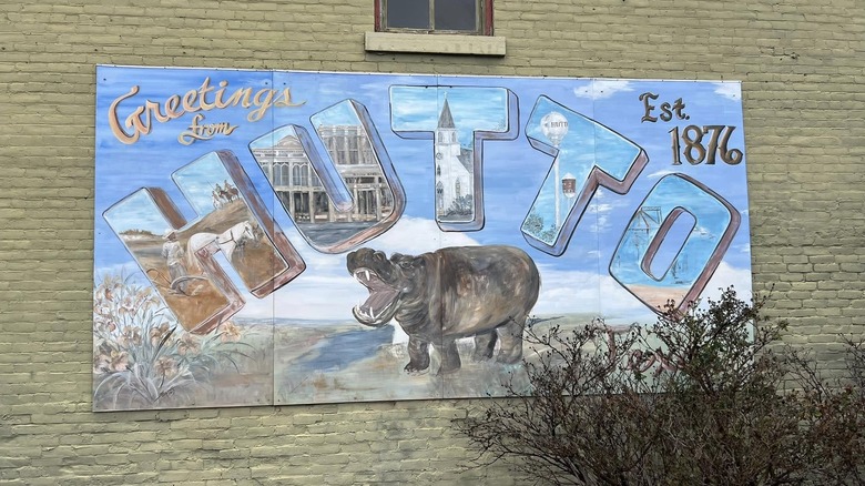 Painted hippo sign in Hutto