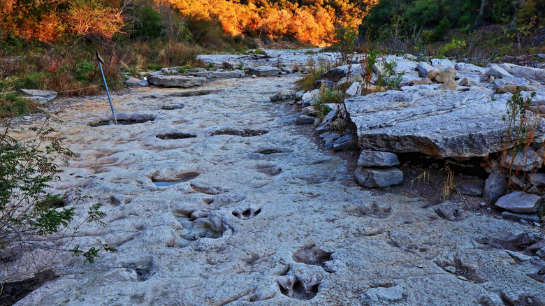 Footprints in Paluxy River at Dinosaur Valley State Park
