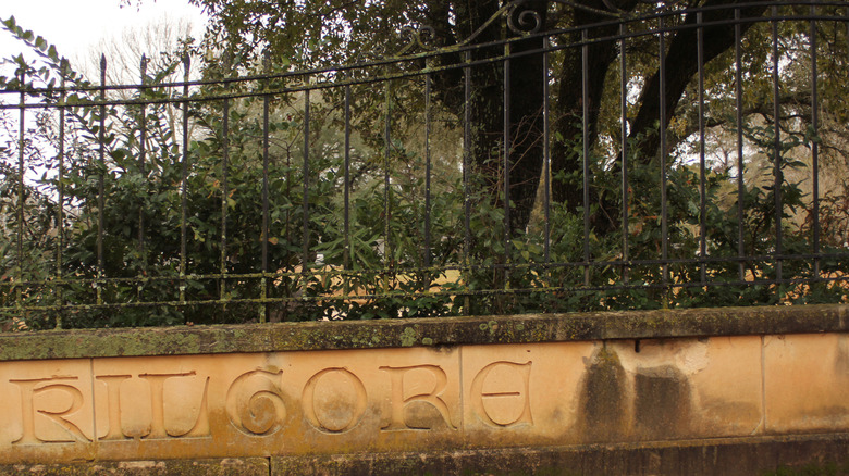 Historic cemetery in Kilgore, Texas