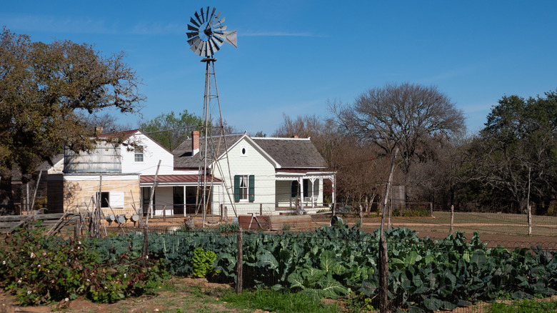 The Sauer-Beckmann Living History Farm at the Lyndon B. Johnson State Park in Stonewall, Texas during the day.