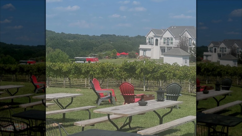 View from Tara Vineyard & Winery