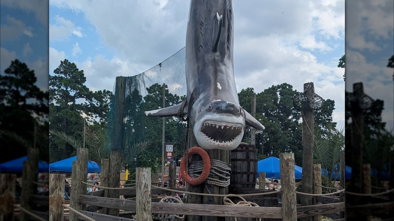 Shark statue at Six Flags Hurricane Harbor Splashtown Waterpark