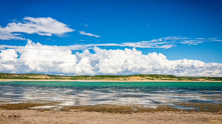 A beach at Lake Amistad
