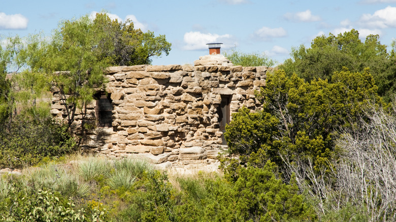 A stone cow trail cabin with brush nearby in Palo Duro State Park