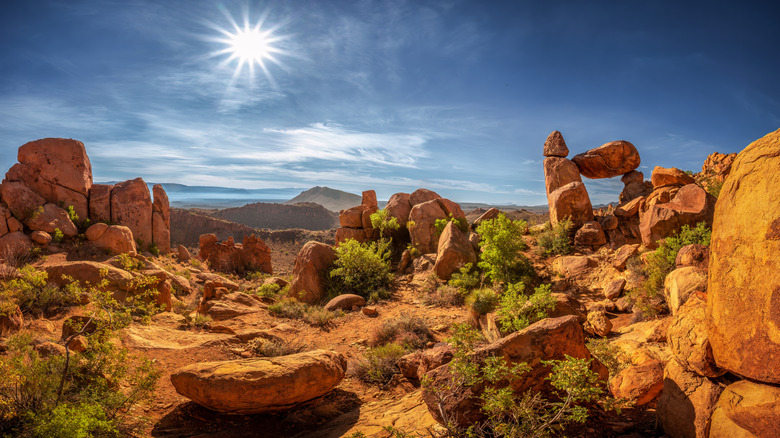Big Bend National Park