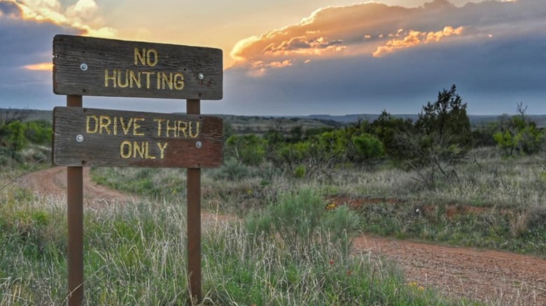 Matador Wildlife Management Area
