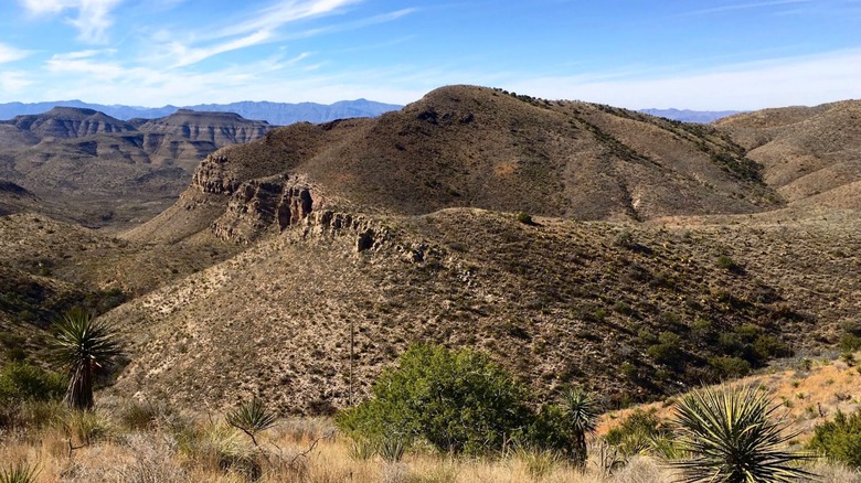 Landscape view of the West Texas region near Chinati Mountains State Natural Area