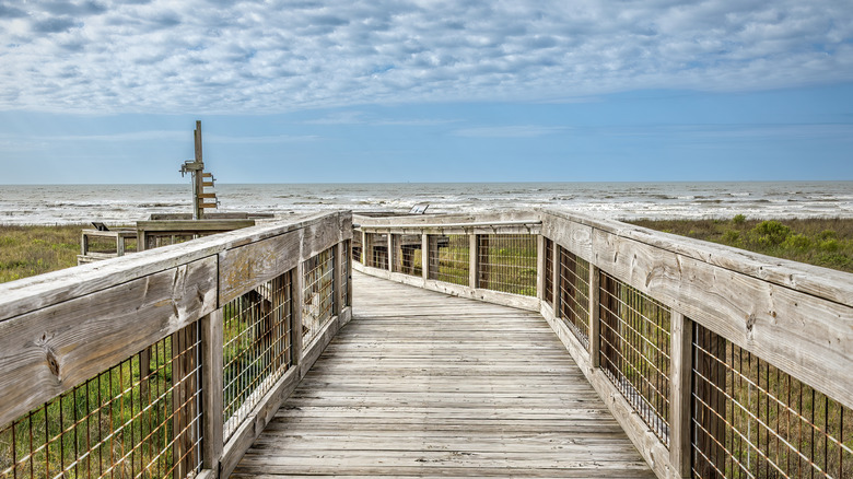 Timber boardwalk down to the beach and Gulf Coast in Sea Rim State Park in Jefferson County.