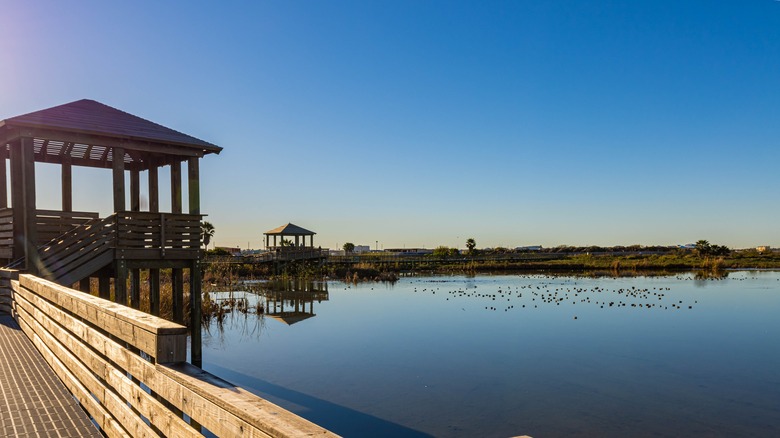 View from the boardwalk at Leonabelle Turnbull Birding Center, Port Aransas, Texas