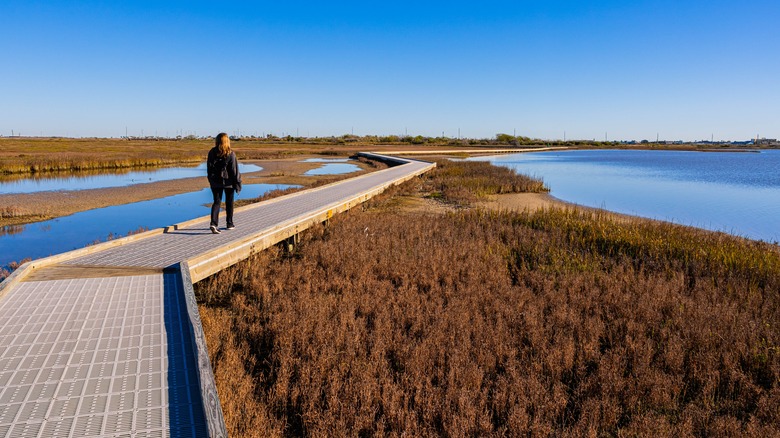 Woman on a raised boardwalk over a saltwater marsh at Leonabelle Turnbull Birding Center, Port Aransas, Texas