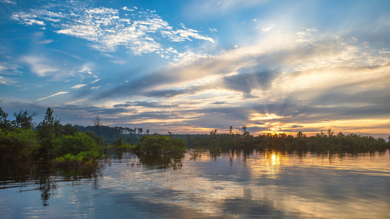 Sam Rayburn Reservoir in Texas