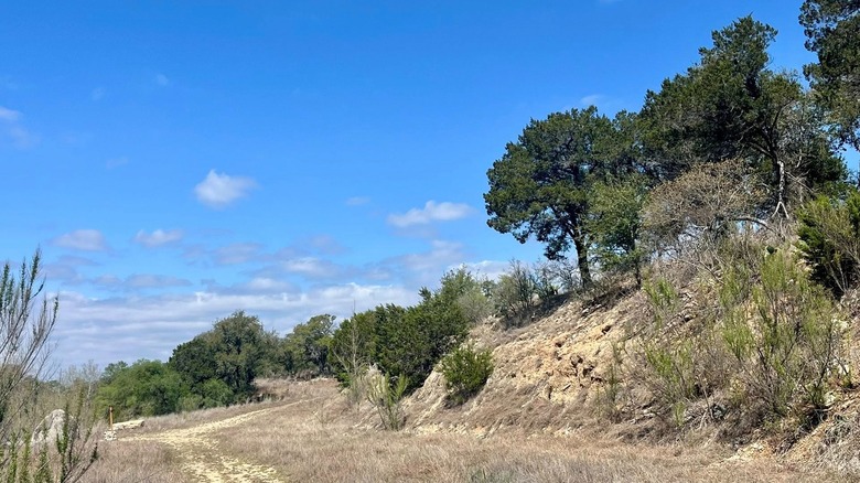 Trail through Karst Canyon Preserve
