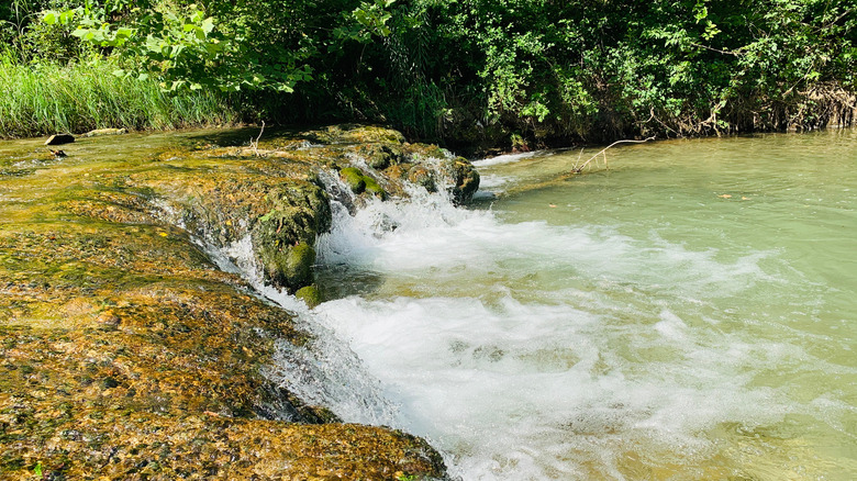 water flowing in Salado Creek Texas