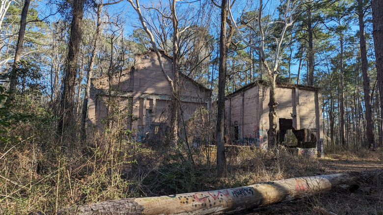 Abandoned buildings of the Aldridge Sawmill in the Angelina National Forest of Texas