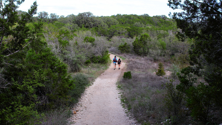 Father and son walking along park trail