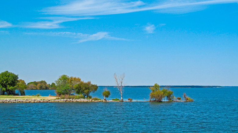 Trees along Lake Tawakoni in Texas