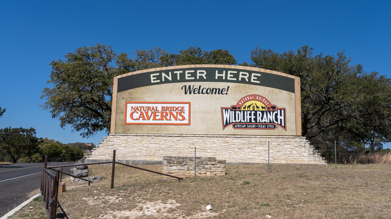 Welcome sign to the Natural Bridge Caverns and Wildlife Ranch
