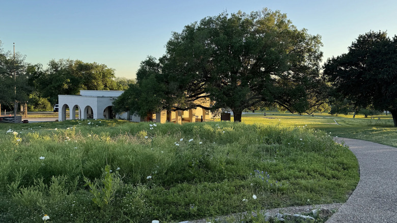 View of historic building surrounded by overgrown grass and lush trees in Goliad State Park.