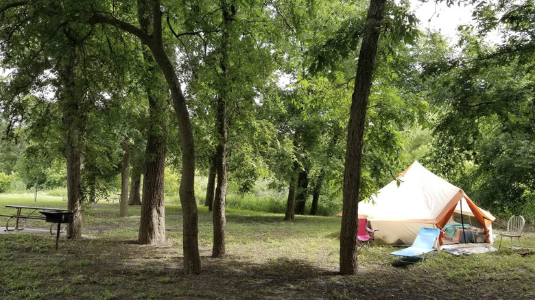 A campsite with green trees, a tent, picnic table, and grill at Goliad State Park.