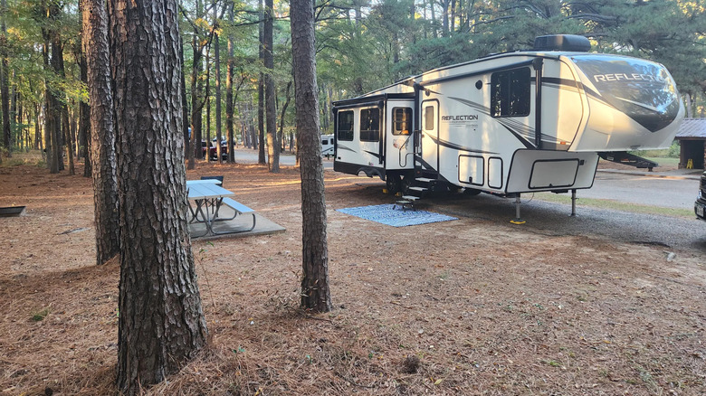camper parked at campground with trees and picnic table beside it