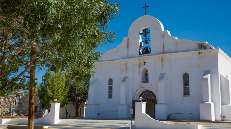 green tree in front of white church under blue sky