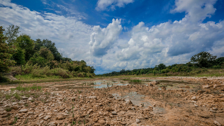 The dried Blanco River's riverbed after rain