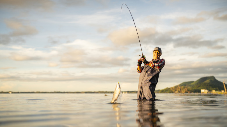 Man catches a fish knee-deep in water