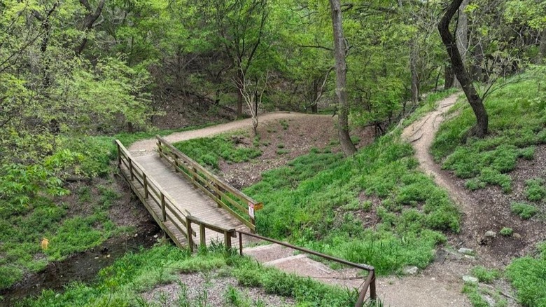 Hiking trails in Old Tunnel State Park