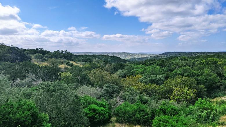 Old Tunnel State Park in Central Texas