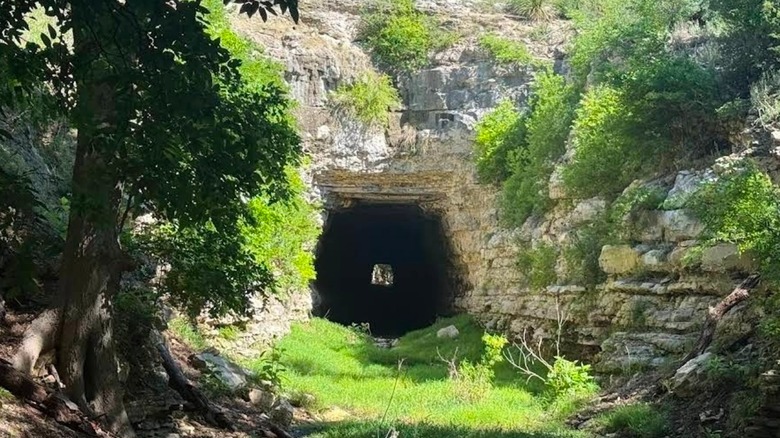 Old Tunnel State Park in Central Texas