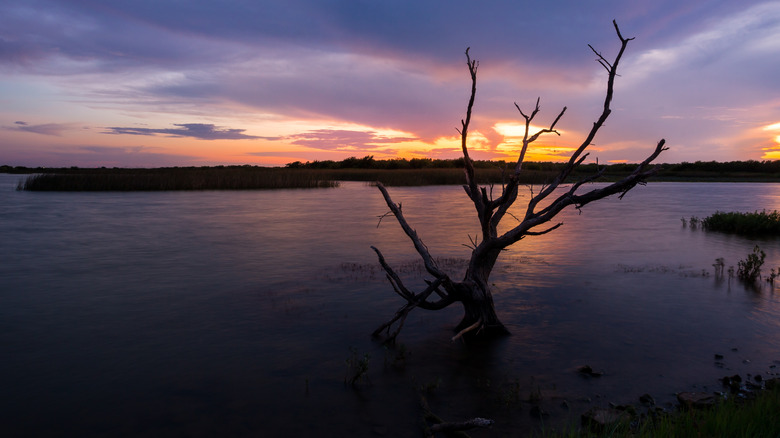 Sunset over Arrowhead Lake in Texas