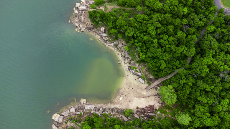 Aerial view of trees, lake, and rocky shoreline