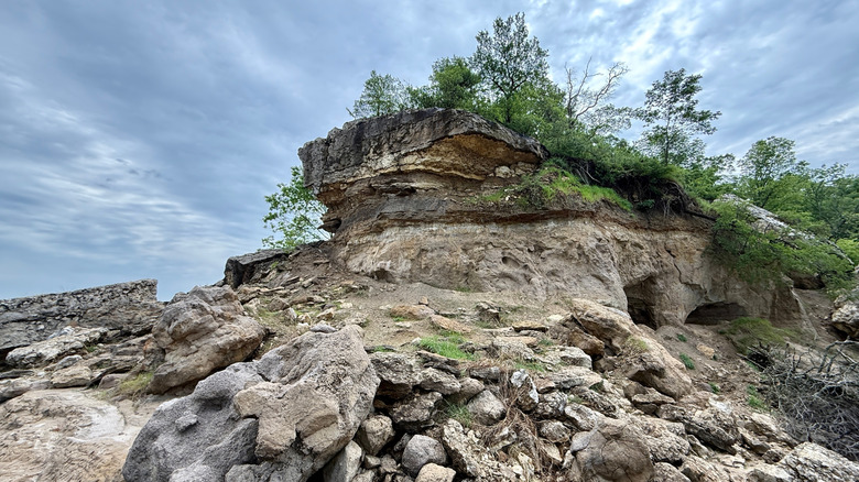 A rock outcropping with trees on top