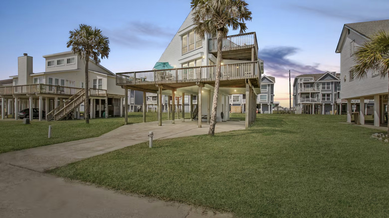 House on stilts with palm tree in the front yard