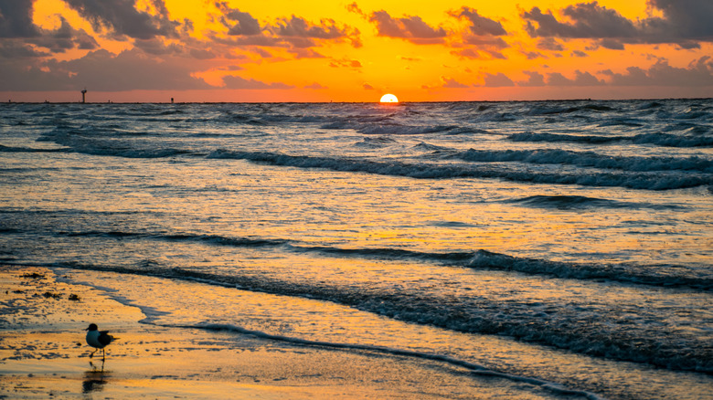 sunny beach shot in Corpus Christi, Texas