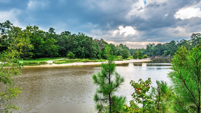 Waters in Village Creek State Park