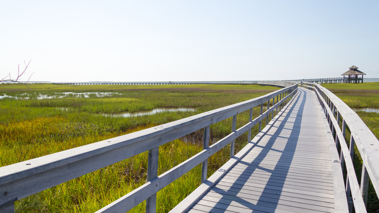 Port Lavaca boardwalk and pier
