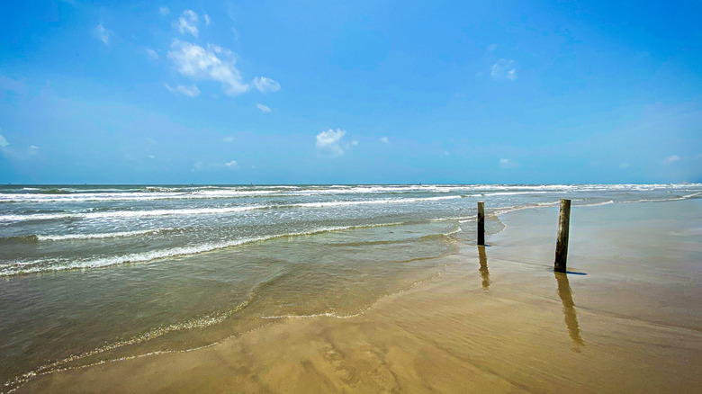 Two wooden posts emerging from the sand by the water at Mustang Island State Park in Texas