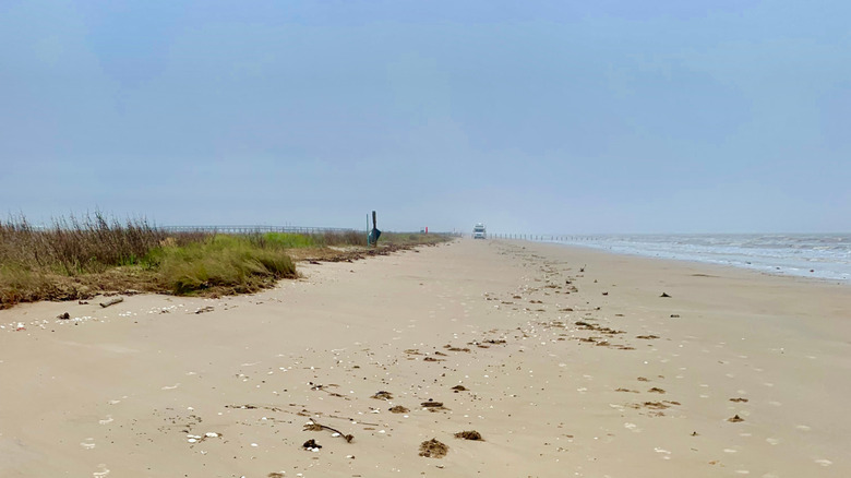 The shore of Sea Rim State Park with a vehicle in the far background in Port Arthur, Texas