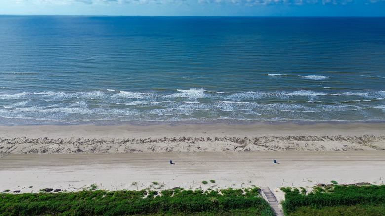 Grassy dunes leading to Sunny Beach in Galveston, Texas