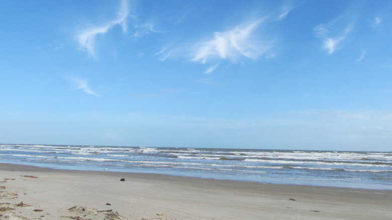 Beach area on the shores of San José Island