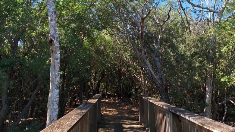 Resaca de la Palma State Park