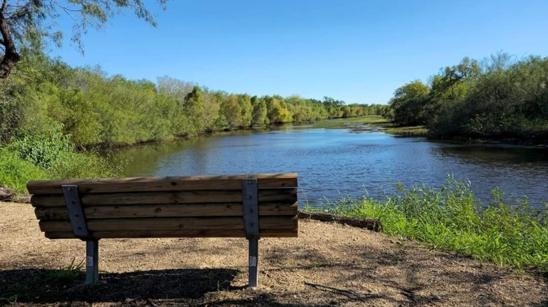 Resaca de la Palma State Park