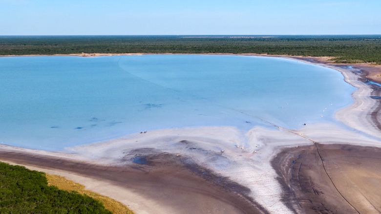 Aerial view of La Sal del Rey salt lake in Texas